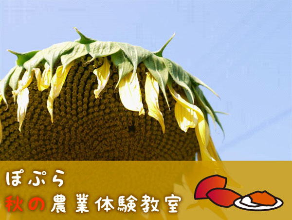 ぽぷら秋の農業体験教室