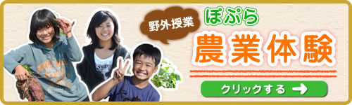 野外授業 ぽぷら農業体験