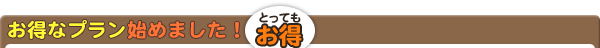 お得なプランはじめました！