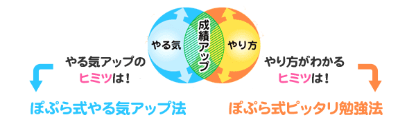 やる気アップのヒミツは、ぽぷら式やる気アップ法。やり方がわかるヒミツは、ぽぷら式ぴったり勉強法